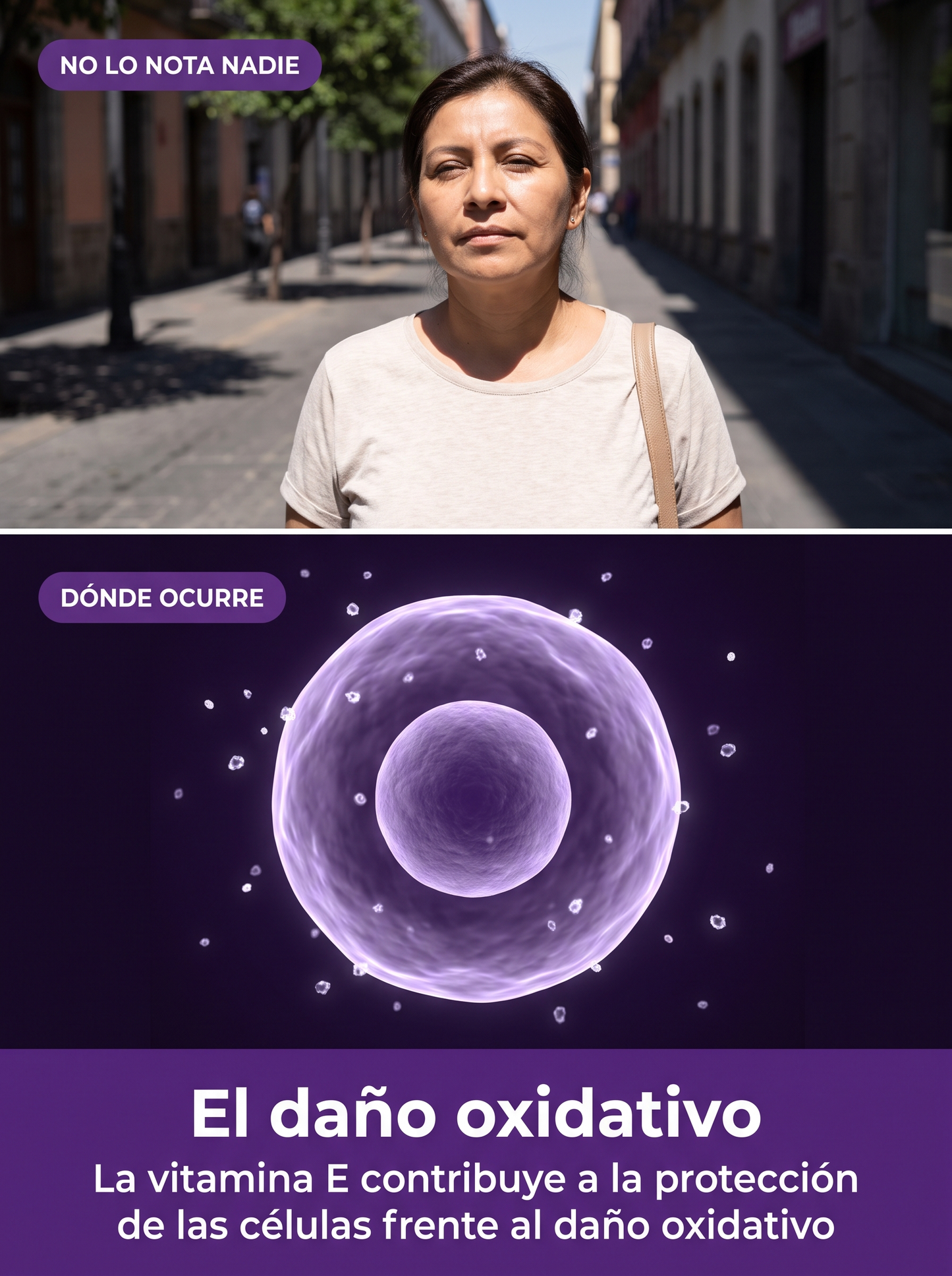 No lo nota nadie: el daño oxidativo. La vitamina E contribuye a la protección de las células frente al daño oxidativo