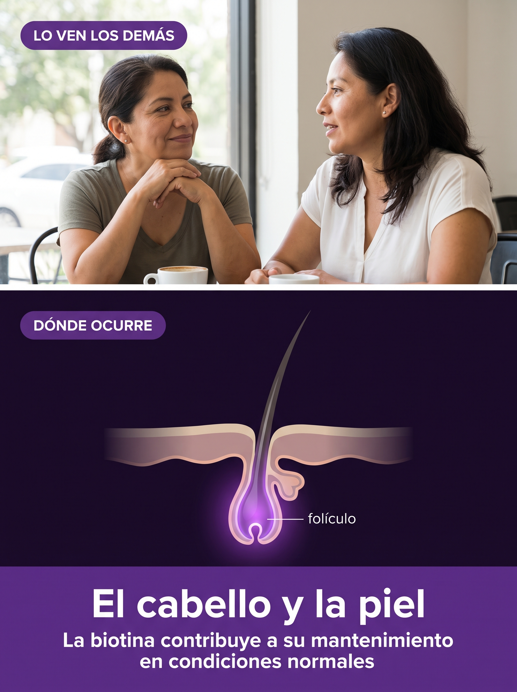 Lo ven los demás: el cabello y la piel. La biotina contribuye a su mantenimiento en condiciones normales